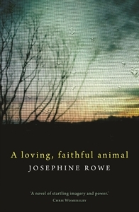 Loving faithful animal rowe