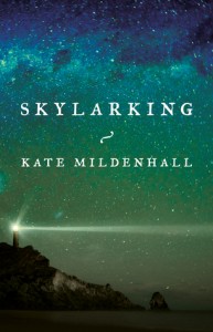 Mildenhall Skylarking Novel