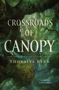 crossroads-canopy-dyer