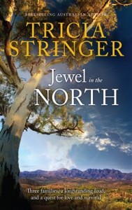 Jewel in the North Tricia Stringer