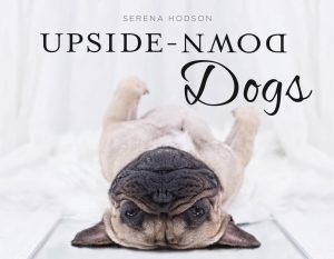 upside down dogs by serena hodson