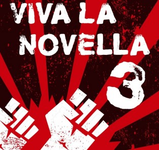 In Conversation With… the Viva La Novella 2015 winners: Jane Rawson